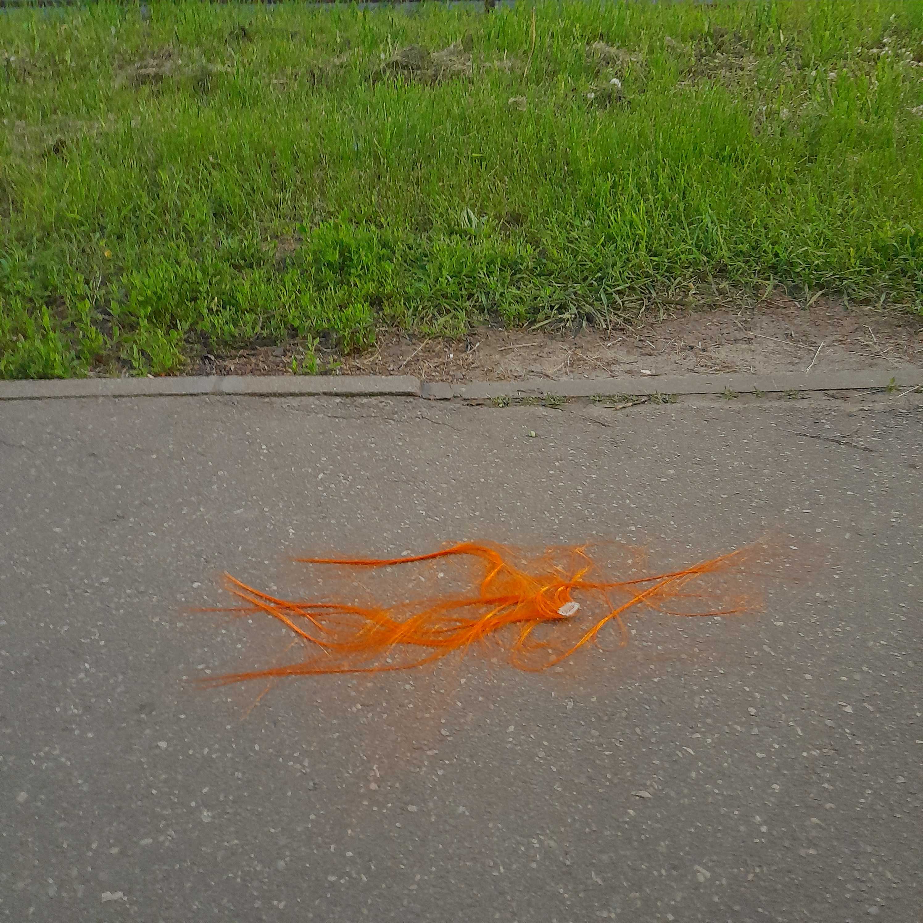 someon lost their hair